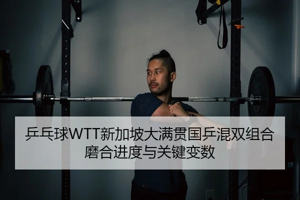 ping-pang-qiu-xin-jia-po-da-man-guan-guo-ping-hun-shuang-zu-he-mo-he-jin-du-yu-guan-jian-bian-shu-2-354.jpg