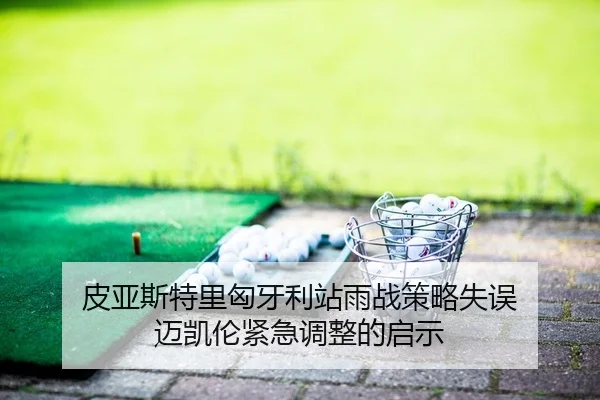 pi-ya-si-te-li-xiong-ya-li-zhan-yu-zhan-ce-lve-shi-wu-mai-kai-lun-jin-ji-tiao-zheng-de-qi-shi-2-502.jpg